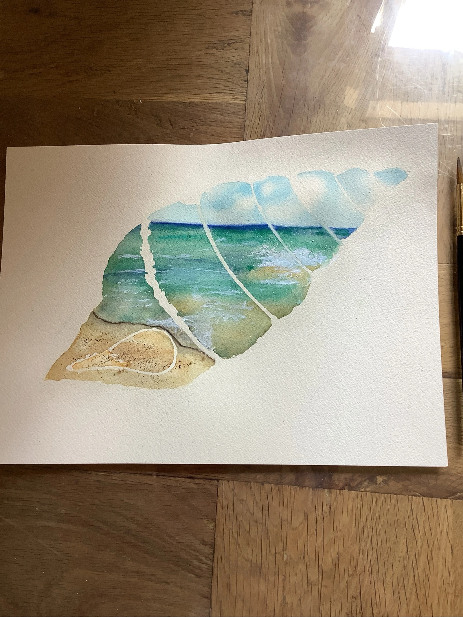 Aquarelle. Coquillage.